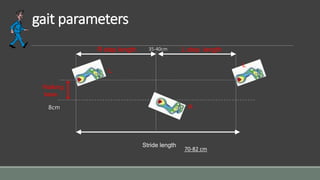 gait parameters
Stride length
L step lengthR step length
L
L
R
Walking
base
8cm
70-82 cm
35-40cm
 