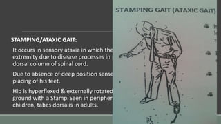 STAMPING/ATAXIC GAIT:
It occurs in sensory ataxia in which there is loss of sensation in lower
extremity due to disease processes in peripheral nerves, dorsal roots,
dorsal column of spinal cord.
Due to absence of deep position sense,the patient constantly observes
placing of his feet.
Hip is hyperflexed & externally rotated & forefoot is dorsiflexed to strike
ground with a Stamp. Seen in peripheral neuritis & brain stem lesion in
children, tabes dorsalis in adults.
 
