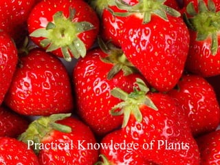 Practical Knowledge of Plants
 