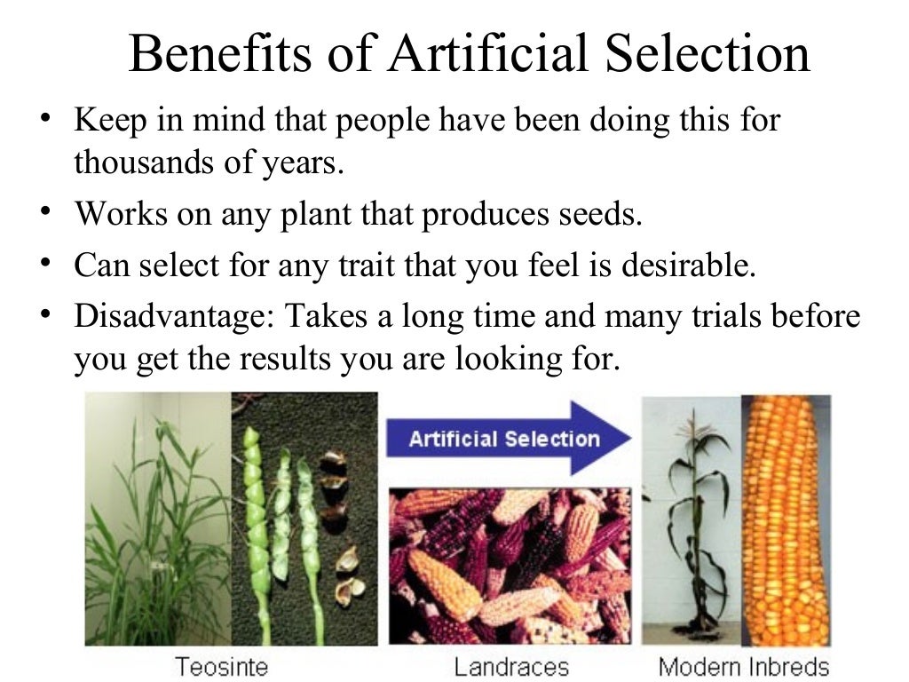 06 practical knowledge of plants