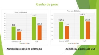 Ganho de peso
257.5
285.5
235
258.5
170
190
210
230
250
270
290
Anterior a ILPF ILPF
Peso aos 365 dias
MACHO FÊMEA
198
218.5
187.5
200.5
170
175
180
185
190
195
200
205
210
215
220
225
Anterior a ILPF ILPF
Peso a desmama
MACHO FÊMEA
Aumentou o peso aos 365Aumentou o peso na desmama
 