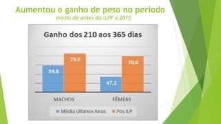 Aumentou o ganho de peso no período
média de antes da ILPF x 2015
 