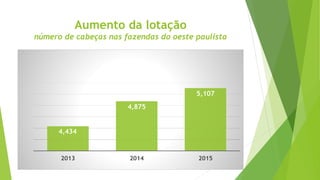 Aumento da lotação
número de cabeças nas fazendas do oeste paulista
4,434
4,875
5,107
2013 2014 2015
 