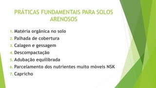 PRÁTICAS FUNDAMENTAIS PARA SOLOS
ARENOSOS
1. Matéria orgânica no solo
2. Palhada de cobertura
3. Calagen e gessagem
4. Descompactação
5. Adubação equilibrada
6. Parcelamento dos nutrientes muito móveis NSK
7. Capricho
 