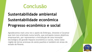 Conclusão
Sustentabilidade ambiental
Sustentabilidade econômica
Progresso econômico e social
Agradecemos mais uma vez o apoio da Embrapa, Unoeste e Cocamar
que tem nos orientado numa tarefa, que extrapola nossos objetivos
empresariais, por representar a introdução de uma inovação
tecnológica de grande impacto econômico e social, nesta vasta
região de terras arenosas do oeste paulista e também em áreas do
estado do Paraná.
 