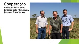 Cooperação
Unoeste Edemar Moro
Embrapa João Kluthcousky
Cocamar André Longen
 