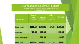 hectares
Santa
Gina
De 10 a 27%
Campina
De 5 a 18%
Nelore
CV
De 12 a 18%
Somas
área total 1.269,52 2.033,15 427,79 3.730,46
reserva 163,96 406,63 570,59
compensação 206,95 206,95
área útil 1.105,56 1.419,57 427,79 2.952,92
Quem somos no Oeste Paulista
Caiuá e Presidente Epitácio teor de argila de 5 a 27%
média de 12%
 
