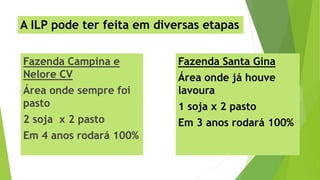 A ILP pode ter feita em diversas etapas
Fazenda Campina e
Nelore CV
Área onde sempre foi
pasto
2 soja x 2 pasto
Em 4 anos rodará 100%
Fazenda Santa Gina
Área onde já houve
lavoura
1 soja x 2 pasto
Em 3 anos rodará 100%
 