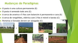 Mudanças de Paradigmas
 O pasto é uma cultura permanente (E)
 O pasto é semeado todo ano (C)
 A cerca de aroeira e 5 fios com balancim é permanente e cara (E)
 A cerca de vergalhões, elétrica com 2 fios é móvel e barata (C)
 Porteiras e Estradas devem ser alargadas (C)
X X
X
 