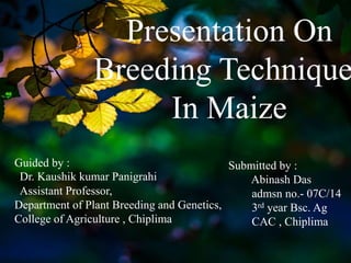 Presentation On
Breeding Technique
In Maize
Guided by :
Dr. Kaushik kumar Panigrahi
Assistant Professor,
Department of Plant Breeding and Genetics,
College of Agriculture , Chiplima
Submitted by :
Abinash Das
admsn no.- 07C/14
3rd year Bsc. Ag
CAC , Chiplima
 
