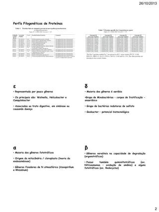 26/10/2013

Perfís Filogenéticos de Proteínas

ε

δ

• Representada por pouco gêneros

• Maioria dos gêneros é aeróbio

• Os principais são: Wolinella, Helicobacter e
Campylobacter

•Grupo de Mixobactérias – corpos de frutificação anaeróbico

• Associadas ao trato digestivo, em simbiose ou
causando doença

• Grupo de bactérias redutoras de sulfato

α

β

• Maioria dos gêneros fototróficos

• Gêneros versáteis na capacidade de degradação
(organotróficos)

• Origem da mitocôndria / cloroplasto (teoria da
endossimbiose)
• Gêneros fixadores de N atmosférico (Azospirillum
e Rhizobium)

• Geobacter – potencial biotecnológico

• Possui
também
quimiolitotróficos
Nitrosomonas – oxidação de amônia) e
fototróficos (ex. Rodocyclus)

(ex.
alguns

2

 
