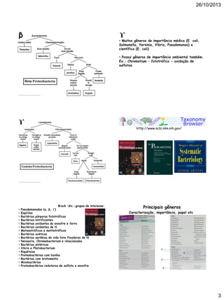 26/10/2013

β

ϒ

• Muitos gêneros de importância médica (E. coli,
Salmonella, Yersinia, Vibrio, Pseudomonas) e
científica (E. coli)
• Possui gêneros de importância ambiental também.
Ex.: Chromatium – fototrófico - oxidação de
sulfetos

https ://sites.google.com/a/mrs wan.net/wiki/student-pages/alva rado/types-of-bacteria

ϒ

http://www.ncbi.nlm.nih.gov/

https ://sites.google.com/a/mrs wan.net/wiki/student-pages/alva rado/types-of-bacteria

•
•
•
•
•
•
•
•
•
•
•
•
•
•
•
•
•

Brock –div.-grupos de interesse:
Pseudomonadas (α, β, ϒ)
Espirilos
Bactérias púrpuras fototróficas
Bactérias nitrificantes
Bactérias oxidantes do enxofre e ferro
Bactérias oxidantes de H
Metanotróficos e metilotróficos
Bactérias acéticas
Bactérias aeróbias de vida livre fixadoras de N
Neisseria, Chromobacterium e relacionados
Bactérias entéricas
Vibrio e Photobacterium
Riquétsias
Proteobactérias com bainha
Bactérias com brotamento
Mixobactérias
Proteobactérias redutoras de sulfato e enxofre

Principais gêneros
Caracterização, importância, papel etc

ϒ
ϒ
ϒ
ϒ

3

 