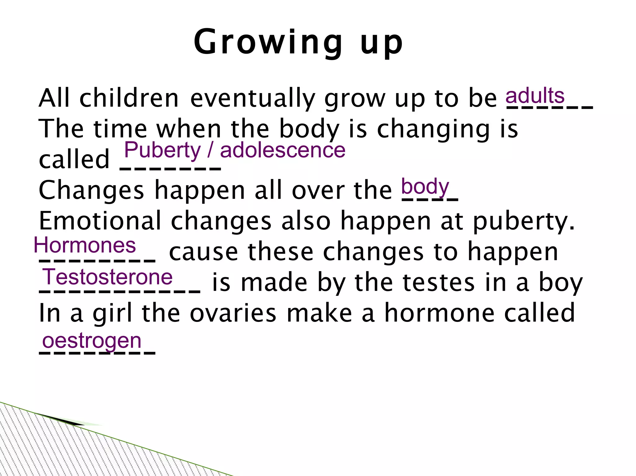 Growing up All children   eventually grow up to be  ______ The time when the body is changing is called  _______ Changes happen all over the  ____   Emotional changes also happen at puberty. ________  cause these changes to happen ___________  is made by the testes in a boy  In a girl the ovaries make a hormone called  ________ adults Puberty / adolescence body Hormones Testosterone oestrogen 