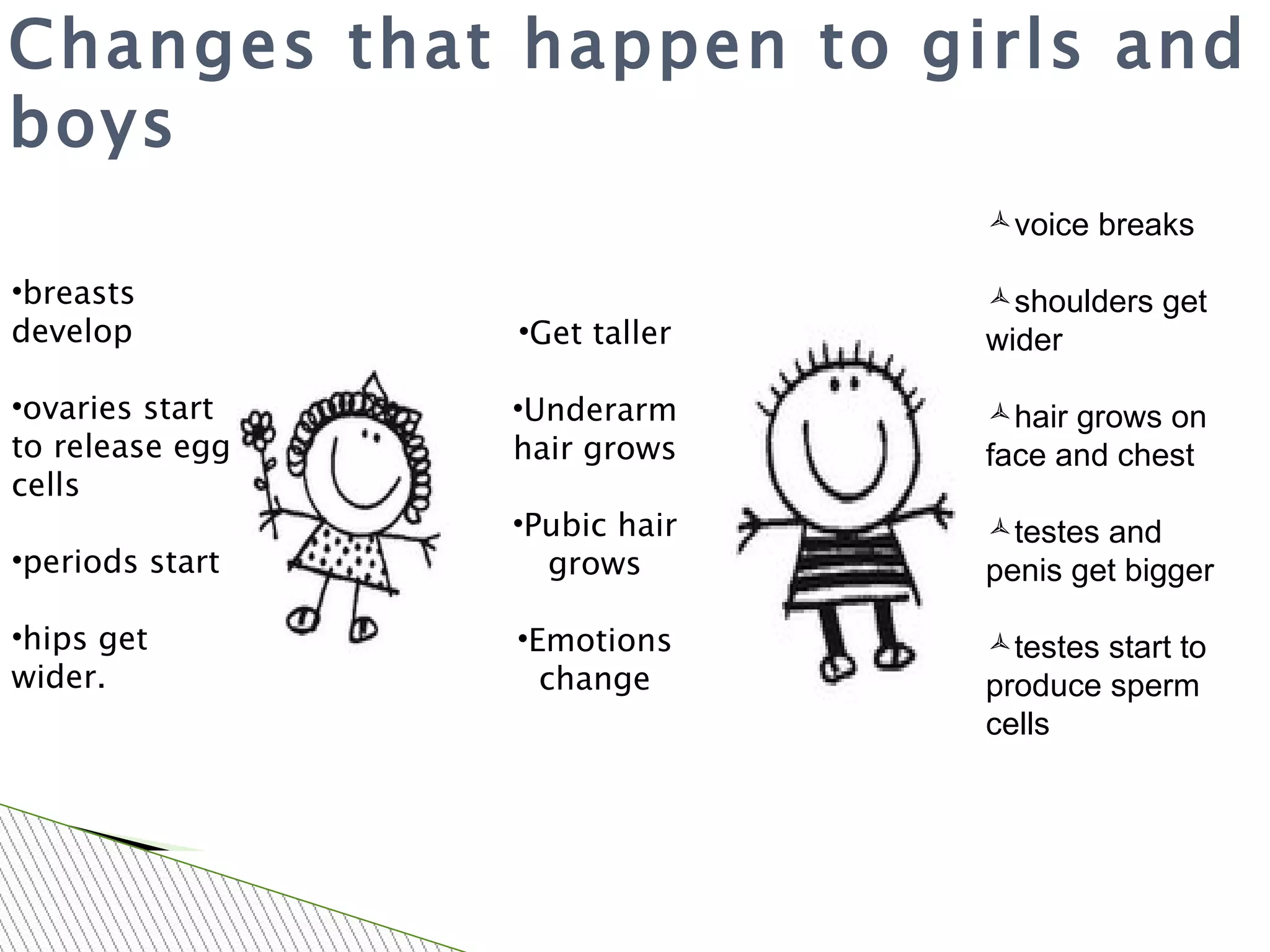 Changes that happen to girls and boys voice breaks shoulders get wider  hair grows on face and chest testes and penis get bigger  testes start to produce sperm cells  breasts develop ovaries start to release egg cells  periods start hips get wider.     Get taller Underarm hair grows Pubic hair grows Emotions change Girls Both Boys 