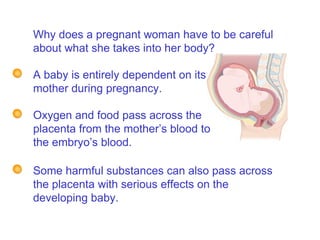 Why does a pregnant woman have to be careful about what she takes into her body?     7B  Pregnancy - Dangers to fetus   A baby is entirely dependent on its mother during pregnancy. Oxygen and food pass across the placenta from the mother’s blood to the embryo’s blood. Some harmful substances can also pass across the placenta with serious effects on the developing baby.     
