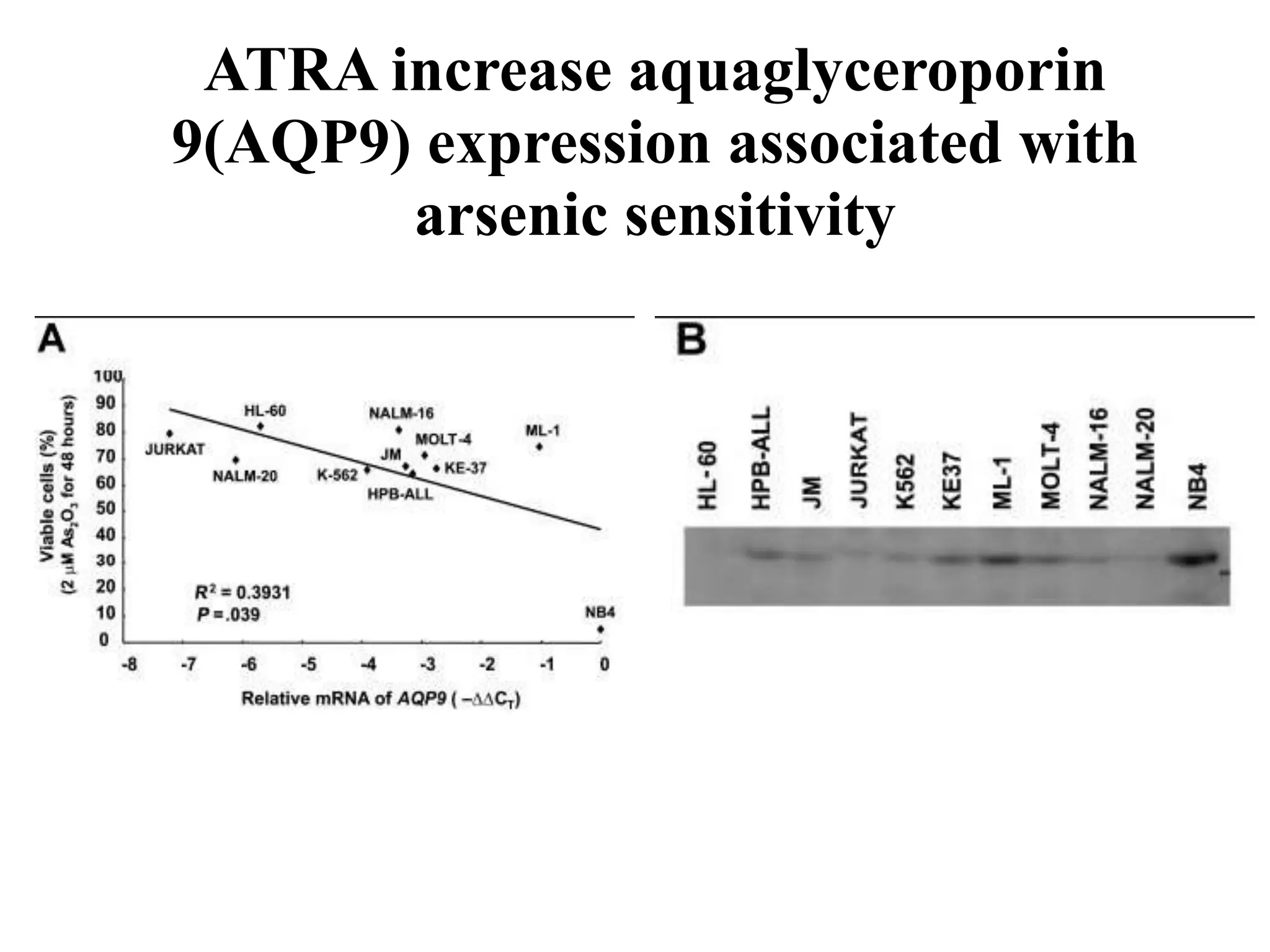ATRA increase aquaglyceroporin 
9(AQP9) expression associated with 
arsenic sensitivity 
Relationship of AQP9 with arsenic uptake and sensitivity in leukemia cells. Blood 2007; 109: 740-746. 
 