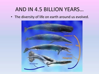 AND IN 4.5 BILLION YEARS…
• The diversity of life on earth around us evolved.
 