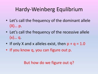 Hardy-Weinberg Equlibrium
• Let’s call the frequency of the dominant allele
(X)… p.
• Let’s call the frequency of the recessive allele
(x)… q.
• If only X and x alleles exist, then p + q = 1.0
• If you know q, you can figure out p.
But how do we figure out q?
 
