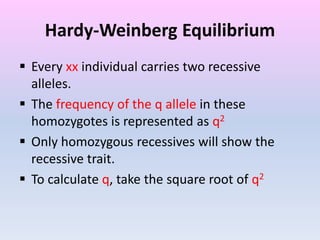 Hardy-Weinberg Equilibrium
 Every xx individual carries two recessive
alleles.
 The frequency of the q allele in these
homozygotes is represented as q2
 Only homozygous recessives will show the
recessive trait.
 To calculate q, take the square root of q2
 
