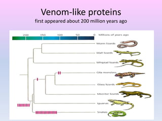 Venom-like proteins
first appeared about 200 million years ago
 