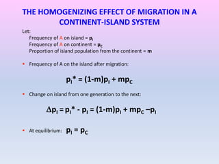 THE HOMOGENIZING EFFECT OF MIGRATION IN A
CONTINENT-ISLAND SYSTEM
Let:
Frequency of A on island = pI
Frequency of A on continent = pC
Proportion of island population from the continent = m
 Frequency of A on the island after migration:
pI* = (1-m)pI + mpC
 Change on island from one generation to the next:
pI = pI* - pI = (1-m)pI + mpC –pI
 At equilibrium: pI = pC
 