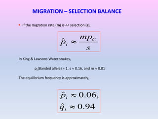 MIGRATION – SELECTION BALANCE
 If the migration rate (m) is << selection (s),
s
mp
p C
i ˆ
In King & Lawsons Water snakes,
pc(Banded allele) = 1, s  0.16, and m  0.01
The equilibrium frequency is approximately,
94.0ˆ
,06.0ˆ


i
i
q
p
 