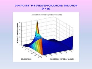 GENETIC DRIFT IN REPLICATED POPULATIONS: SIMULATION
(N = 16)
NUMBEROFPOPULATIONS
GENERATIONS NUMBER OF COPIES OF ALLELE 1
 
