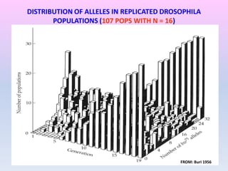 DISTRIBUTION OF ALLELES IN REPLICATED DROSOPHILA
POPULATIONS (107 POPS WITH N = 16)
FROM: Buri 1956
 
