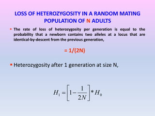 LOSS OF HETEROZYGOSITY IN A RANDOM MATING
POPULATION OF N ADULTS
 The rate of loss of heterozygosity per generation is equal to the
probability that a newborn contains two alleles at a locus that are
identical-by-descent from the previous generation,
= 1/(2N)
 Heterozygosity after 1 generation at size N,
01 *
2
1
1 H
N
H 




 