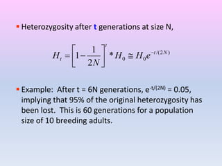 )2/(
00*
2
1
1 Nt
t
t eHH
N
H 





 Heterozygosity after t generations at size N,
 Example: After t = 6N generations, e-t/(2N) = 0.05,
implying that 95% of the original heterozygosity has
been lost. This is 60 generations for a population
size of 10 breeding adults.
 