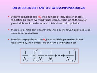  Effective population size (Ne): the number of individuals in an ideal
population (in which every individual reproduces) in which the rate of
genetic drift would be the same as it is in the actual population.
 The rate of genetic drift is highly influenced by the lowest population size
in a series of generations.
 The effective population size (Ne) over multiple generations is best
represented by the harmonic mean not the arithmetic mean.
RATE OF GENETIC DRIFT AND FLUCTUATIONS IN POPULATION SIZE







110
11111
te NNNtN

 