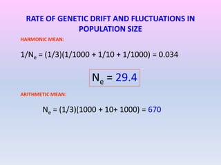 HARMONIC MEAN:
1/Ne = (1/3)(1/1000 + 1/10 + 1/1000) = 0.034
Ne = 29.4
ARITHMETIC MEAN:
Ne = (1/3)(1000 + 10+ 1000) = 670
RATE OF GENETIC DRIFT AND FLUCTUATIONS IN
POPULATION SIZE
 