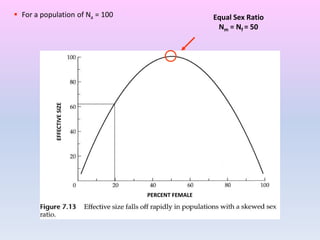 Equal Sex Ratio
Nm = Nf = 50
 For a population of Na = 100
EFFECTIVESIZE
PERCENT FEMALE
 