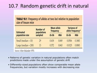 10.7 Random genetic drift in natural
populations
• Patterns of genetic variation in natural populations often match
predictions made under the assumption of genetic drift
• Differently-sized populations often show comparable mean allele
frequencies, but variation mostly increases with decreasing size
 