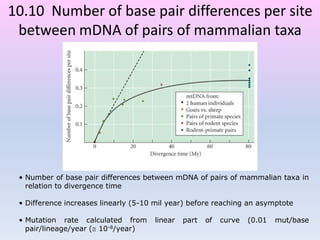 10.10 Number of base pair differences per site
between mDNA of pairs of mammalian taxa
• Number of base pair differences between mDNA of pairs of mammalian taxa in
relation to divergence time
• Difference increases linearly (5-10 mil year) before reaching an asymptote
• Mutation rate calculated from linear part of curve (0.01 mut/base
pair/lineage/year ( 10-8/year)
 