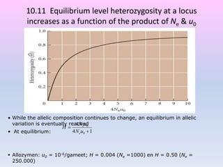 10.11 Equilibrium level heterozygosity at a locus
increases as a function of the product of Ne & u0
• While the allelic composition continues to change, an equilibrium in allelic
variation is eventually reached
• At equilibrium:
 Allozymen: u0 = 10-6/gameet; H = 0.004 (Ne =1000) en H = 0.50 (Ne =
250.000)
14
4
0
0


uN
uN
H
e
e
 