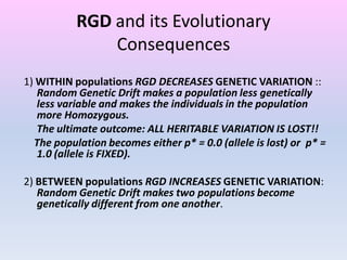 1) WITHIN populations RGD DECREASES GENETIC VARIATION ::
Random Genetic Drift makes a population less genetically
less variable and makes the individuals in the population
more Homozygous.
The ultimate outcome: ALL HERITABLE VARIATION IS LOST!!
The population becomes either p* = 0.0 (allele is lost) or p* =
1.0 (allele is FIXED).
2) BETWEEN populations RGD INCREASES GENETIC VARIATION:
Random Genetic Drift makes two populations become
genetically different from one another.
RGD and its Evolutionary
Consequences
 
