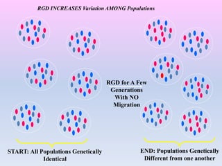 RGD for A Few
Generations
With NO
Migration
START: All Populations Genetically
Identical
END: Populations Genetically
Different from one another
RGD INCREASES Variation AMONG Populations
 