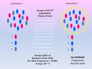 5
5
5
Generation 1 Generation 2
Average of MANY
Independent
Chance Events
5
5
5
Average Effect of
Random Genetic Drift
On Allele Frequencies = ZERO
Average P = 0
On AVERAGE
Frequencies
Stay the Same
 