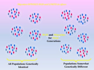 RGD and Migration
for Many
Generations
All Populations Genetically
Identical
Populations Somewhat
Genetically Different
Migration OPPOSES RGD and LIMITS its effects
 