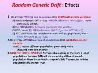 Random Genetic Drift : Effects
1. On average WITHIN one population, RGD DECREASES genetic variation:
A) Random Genetic Drift makes INDIVIDUALS more homozygous, more
genetically similar.
B) the POPULATION becomes genetically less variable.
C) RGD causes ALLELES to become FIXED (Pa = 1) or LOST (Pa = 0).
D) RGD diminishes the heritable variation within a population, which
limits NATURAL SELECTION.
2. On average AMONG a group of populations, RGD INCREASES genetic
variation:
A) RGD makes different populations genetically more
different from one another.
3. GENETIC FIXITY of SPECIES is NOT possible as long as there are a lot of
populations, because RGD will do something different in each
population. There is continual change of allele frequencies in finite
populations by chance, RGD.
 