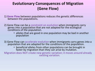 Evolutionary Consequences of Migration
(Gene Flow)
1) Gene Flow between populations reduces the genetic differences
between the populations.
2) Gene Flow can be a constraint on evolution when immigrants carry
genes into a population that are not adapted for the ecological
conditions of the population.
• alleles that are good in one population may be bad in another
population
3) Gene Flow can accelerate evolution when immigrants carry genes into a
population that are adapted for the conditions of the population.
• beneficial alleles from other populations can be brought in
faster by migration than they can arise by mutation.
Migration does NOT create new genetic variation; it moves around already
existing variation.
 