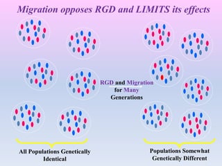 RGD and Migration
for Many
Generations
All Populations Genetically
Identical
Populations Somewhat
Genetically Different
Migration opposes RGD and LIMITS its effects
 