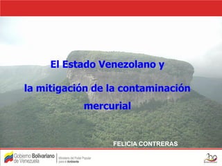 El Estado Venezolano y

la mitigación de la contaminación
           mercurial


                 FELICIA CONTRERAS
 
