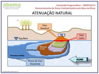 Conteúdo Programático – MODULO III
Gerenciamento de Áreas Contaminadas com Base no Risco
® copyright 2009. PIA (São Paulo, SP)
ATENUAÇÃO NATURAL
TQ
Metanogenesi
Redução por
Sulfato
Redução
Fe (III)
Denitrificação
Processo aeróbio
Pluma de Fase
Dissolvida
Fase
Residual
Fase
LivreAquífero
 