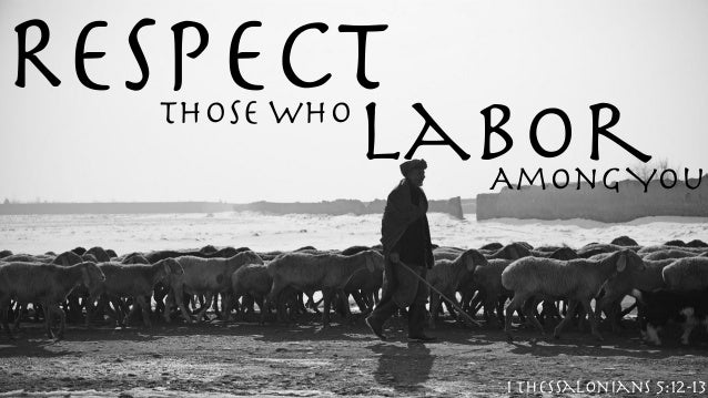 Respect Those Who Labor Among You