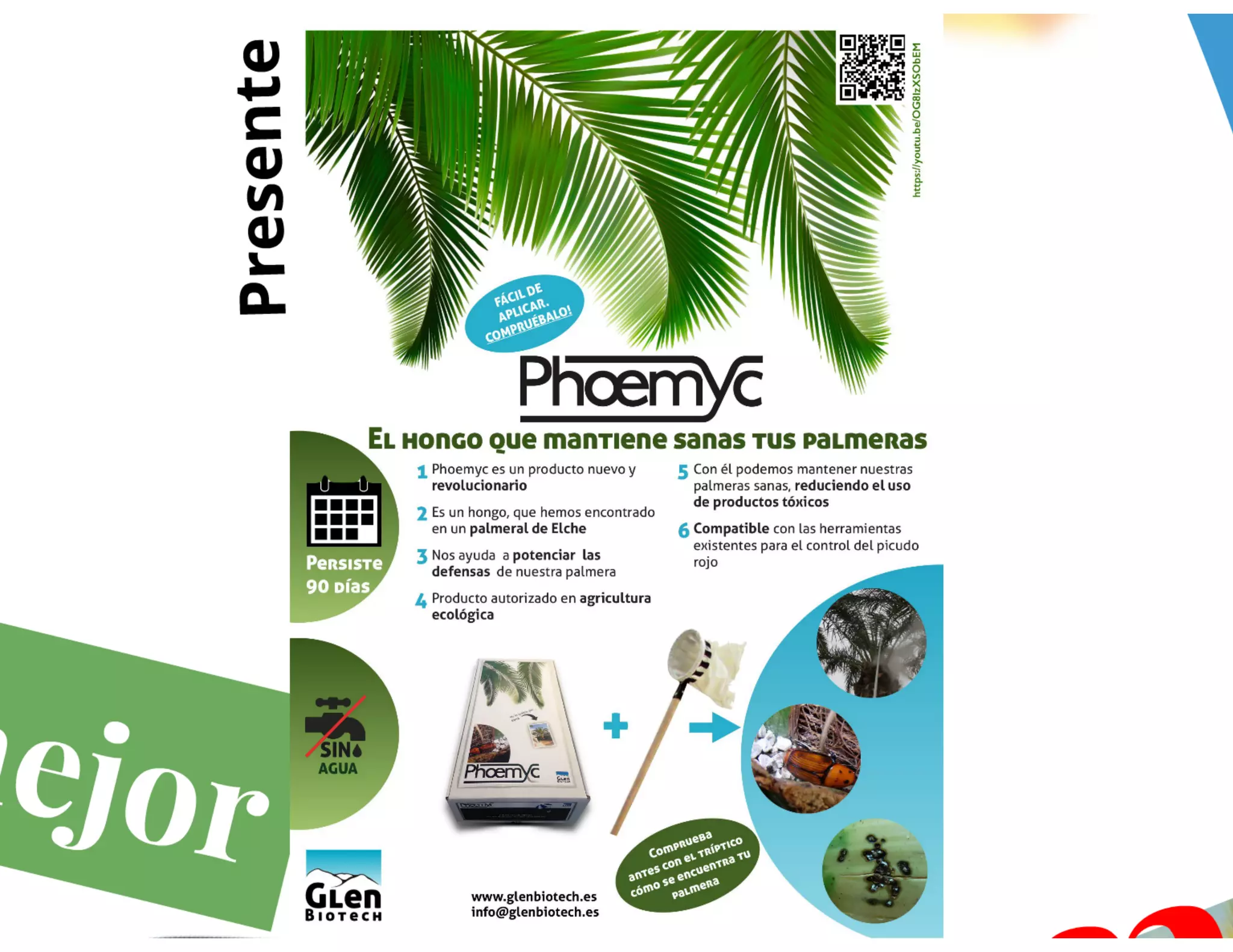 06. Conversaciones con jóvenes empresarios - Berenice Güerri