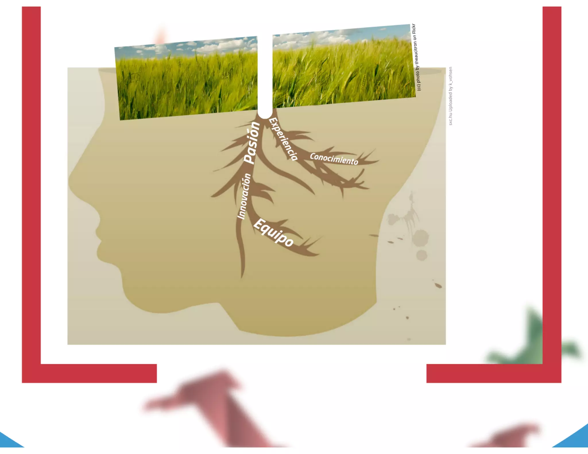 06. Conversaciones con jóvenes empresarios - Berenice Güerri