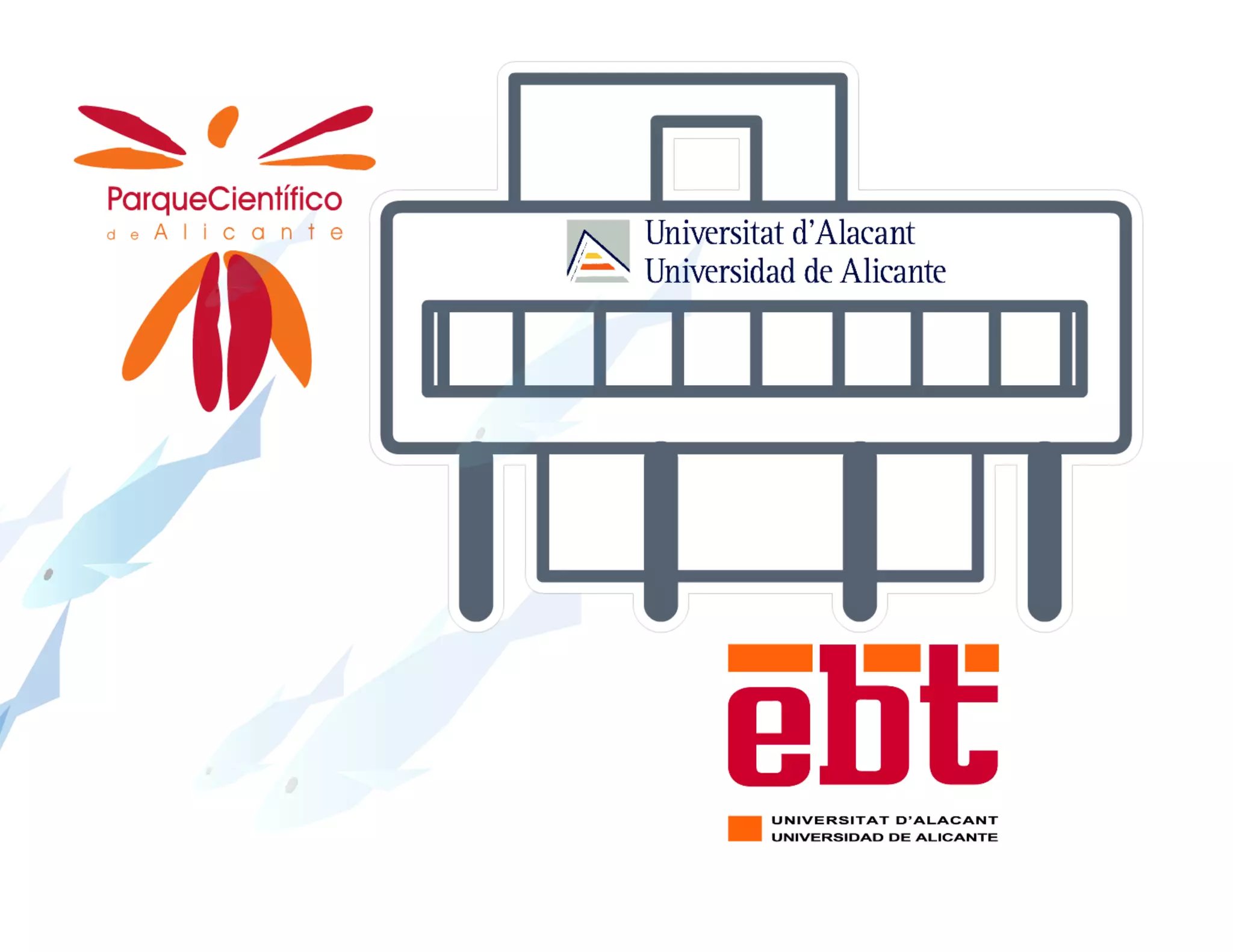 06. Conversaciones con jóvenes empresarios - Berenice Güerri