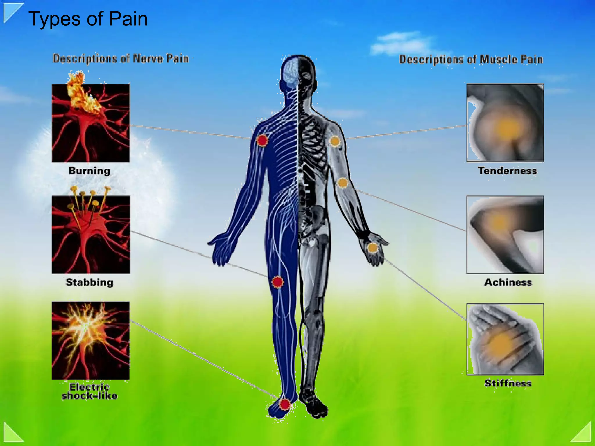 Types of Pain 